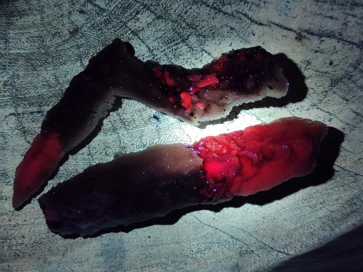 Natural Drusy Quartz Coated Spearhead Calcite Specimens x 12 From Albert's Mountain, Lesotho