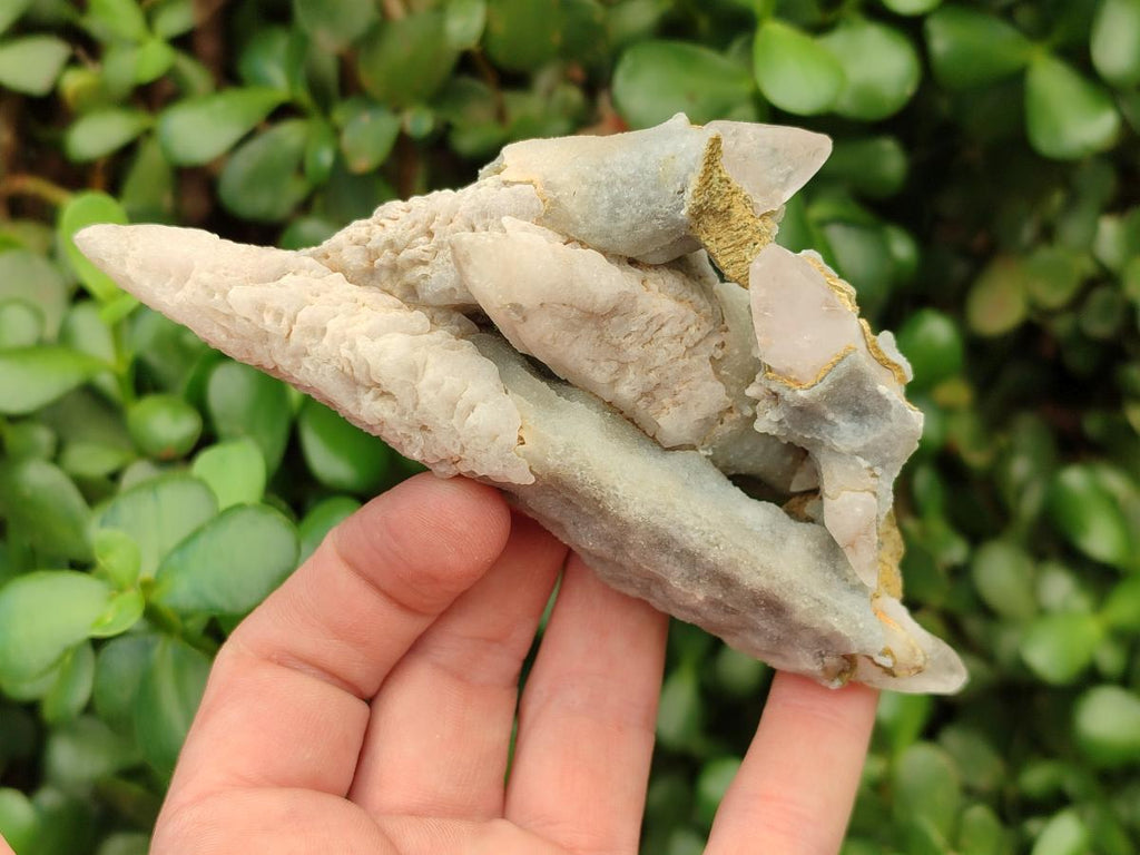 Natural Drusy Quartz Coated Spearhead Calcite Specimens x 12 From Albert's Mountain, Lesotho