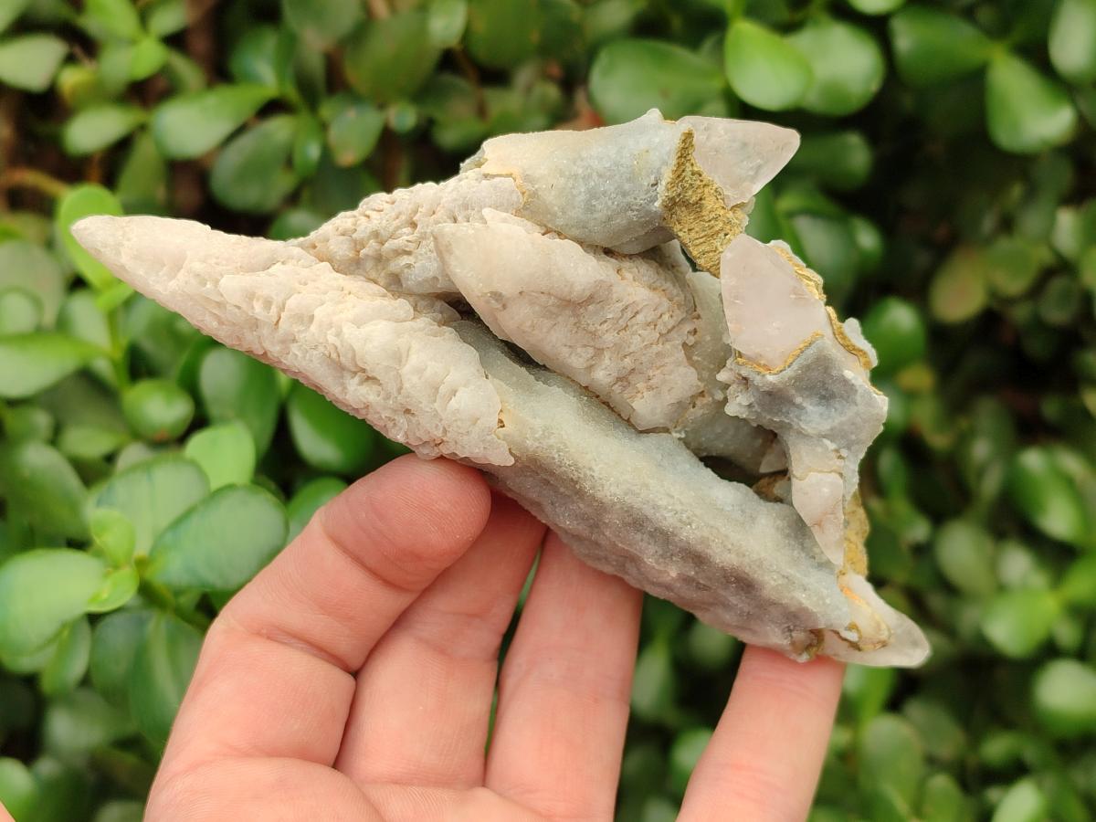Natural Drusy Quartz Coated Spearhead Calcite Specimens x 12 From Albert's Mountain, Lesotho