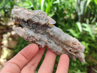 Natural Drusy Quartz Coated Spearhead Calcite Specimens x 12 From Albert's Mountain, Lesotho