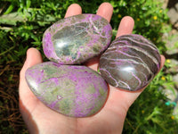 Polished Stichtite Galets x 6 From Barberton, South Africa