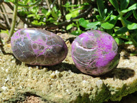 Polished Stichtite Galets x 6 From Barberton, South Africa