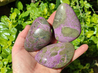 Polished Stichtite Galets x 6 From Barberton, South Africa
