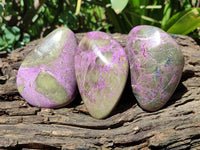 Polished Stichtite Galets x 6 From Barberton, South Africa
