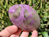 Polished Stichtite Galets x 6 From Barberton, South Africa