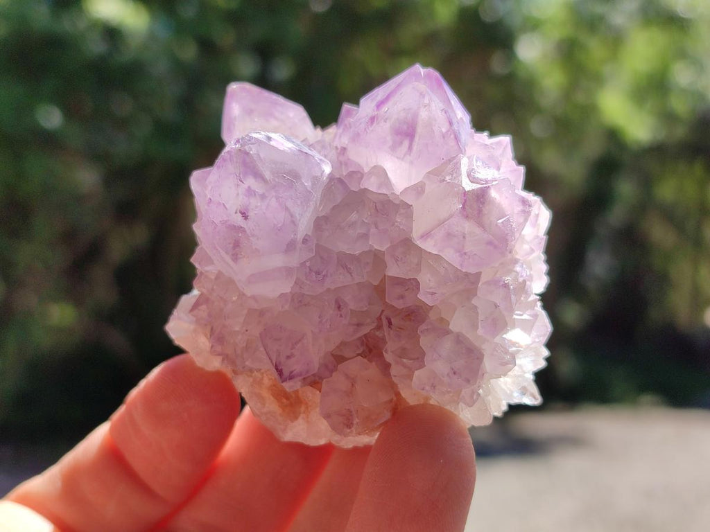 Sunburst Rocks Natural Sunburst Amethyst Spirit Clusters x 12 From Boekenhouthoek, So ...