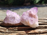 Natural Sunburst Amethyst Spirit Clusters x 12 From Boekenhouthoek, South Africa