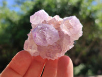 Natural Sunburst Amethyst Spirit Clusters x 12 From Boekenhouthoek, South Africa