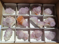 Natural Sunburst Amethyst Spirit Clusters x 12 From Boekenhouthoek, South Africa