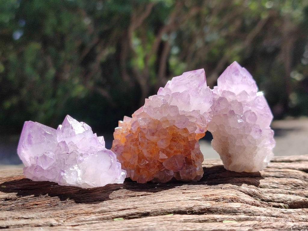 Sunburst Rocks Natural Sunburst Amethyst Spirit Clusters x 12 From Boekenhouthoek, So ...
