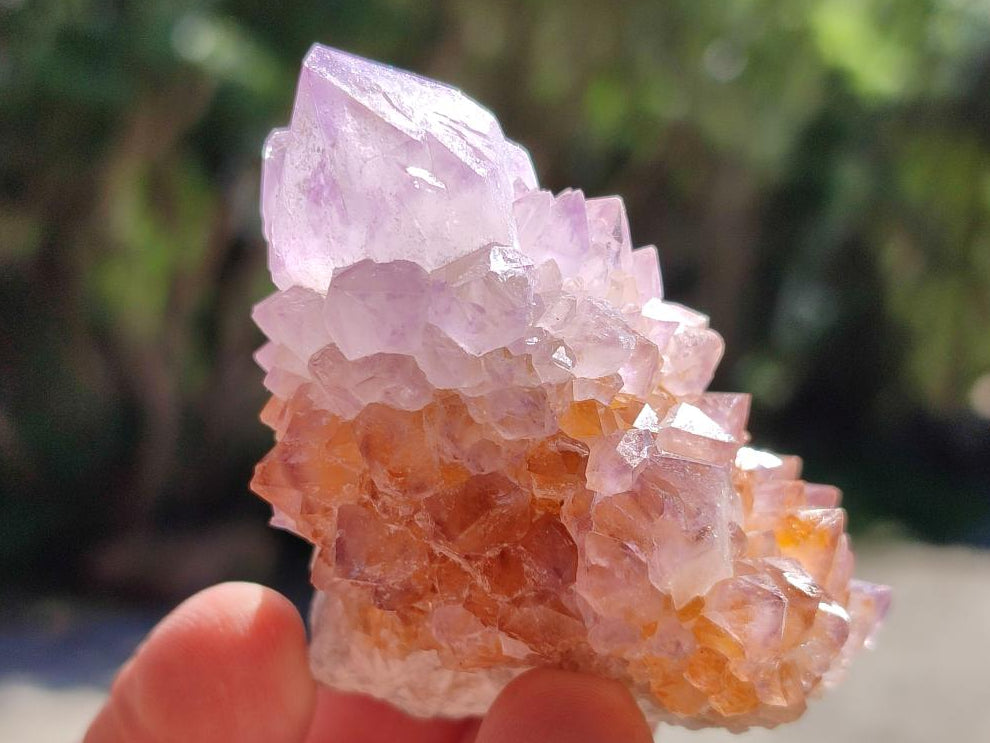 Natural Sunburst Amethyst Spirit Clusters x 12 From Boekenhouthoek, South Africa