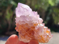 Natural Sunburst Amethyst Spirit Clusters x 12 From Boekenhouthoek, South Africa
