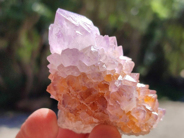 Natural Sunburst Amethyst Spirit Clusters x 12 From Boekenhouthoek, South Africa