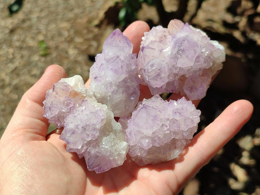 Sunburst Rocks Natural Sunburst Amethyst Spirit Clusters x 12 From Boekenhouthoek, So ...