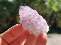 Natural Sunburst Amethyst Spirit Clusters x 12 From Boekenhouthoek, South Africa