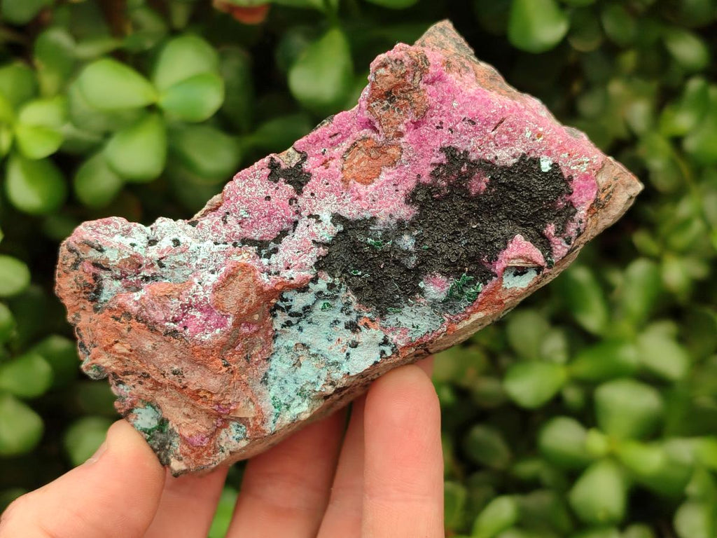 Natural Salrose Cobaltion Dolomite with Malachite Specimens x 4 From Kakanda, Congo - Toprock Gemstones and Minerals 