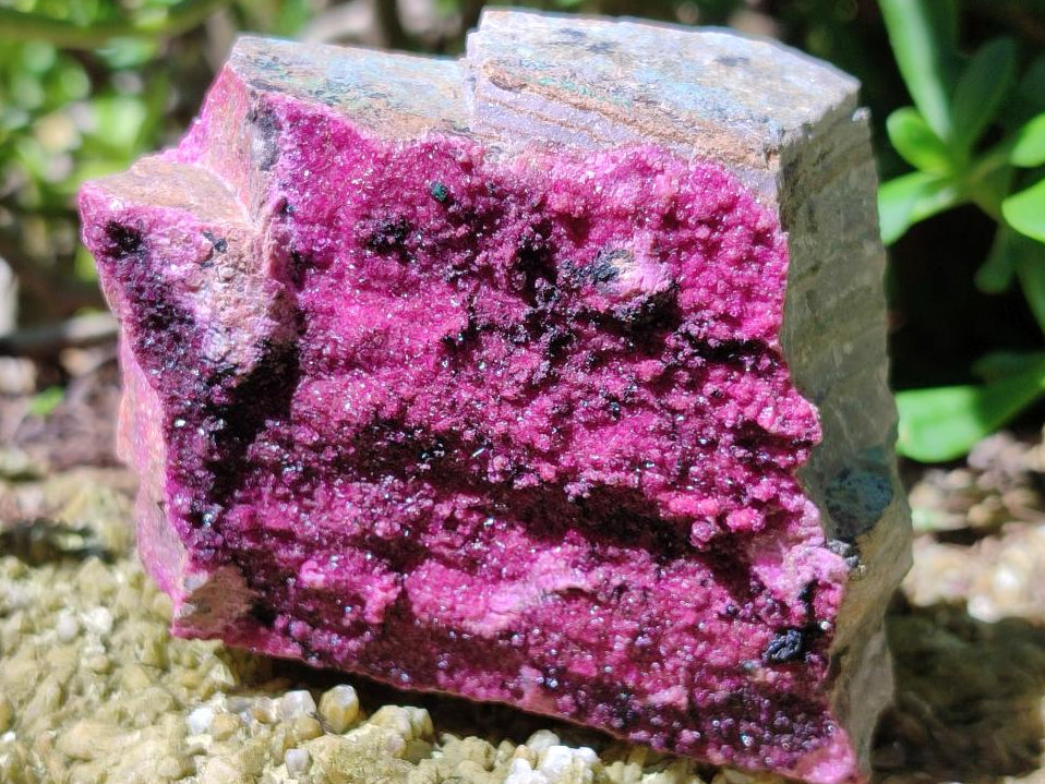 Natural Salrose Cobaltion Dolomite with Malachite Specimens x 4 From Kakanda, Congo - Toprock Gemstones and Minerals 