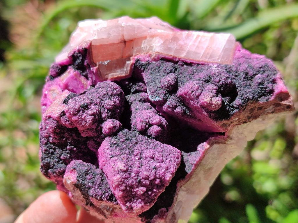 Natural Salrose Cobaltion Dolomite with Malachite Specimens x 4 From Kakanda, Congo - Toprock Gemstones and Minerals 