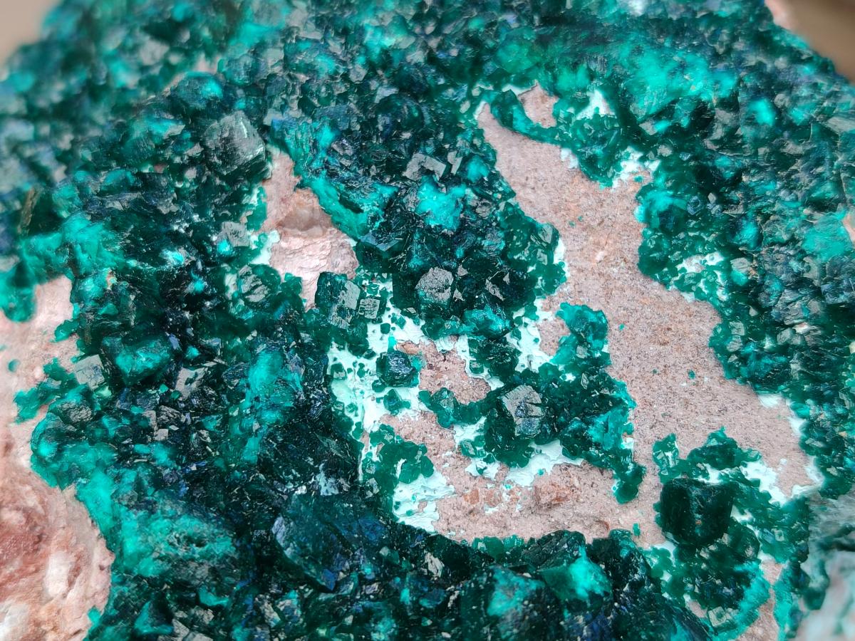 Natural XL Dioptase On Dolomite Specimen x 1 From Likasi, Congo