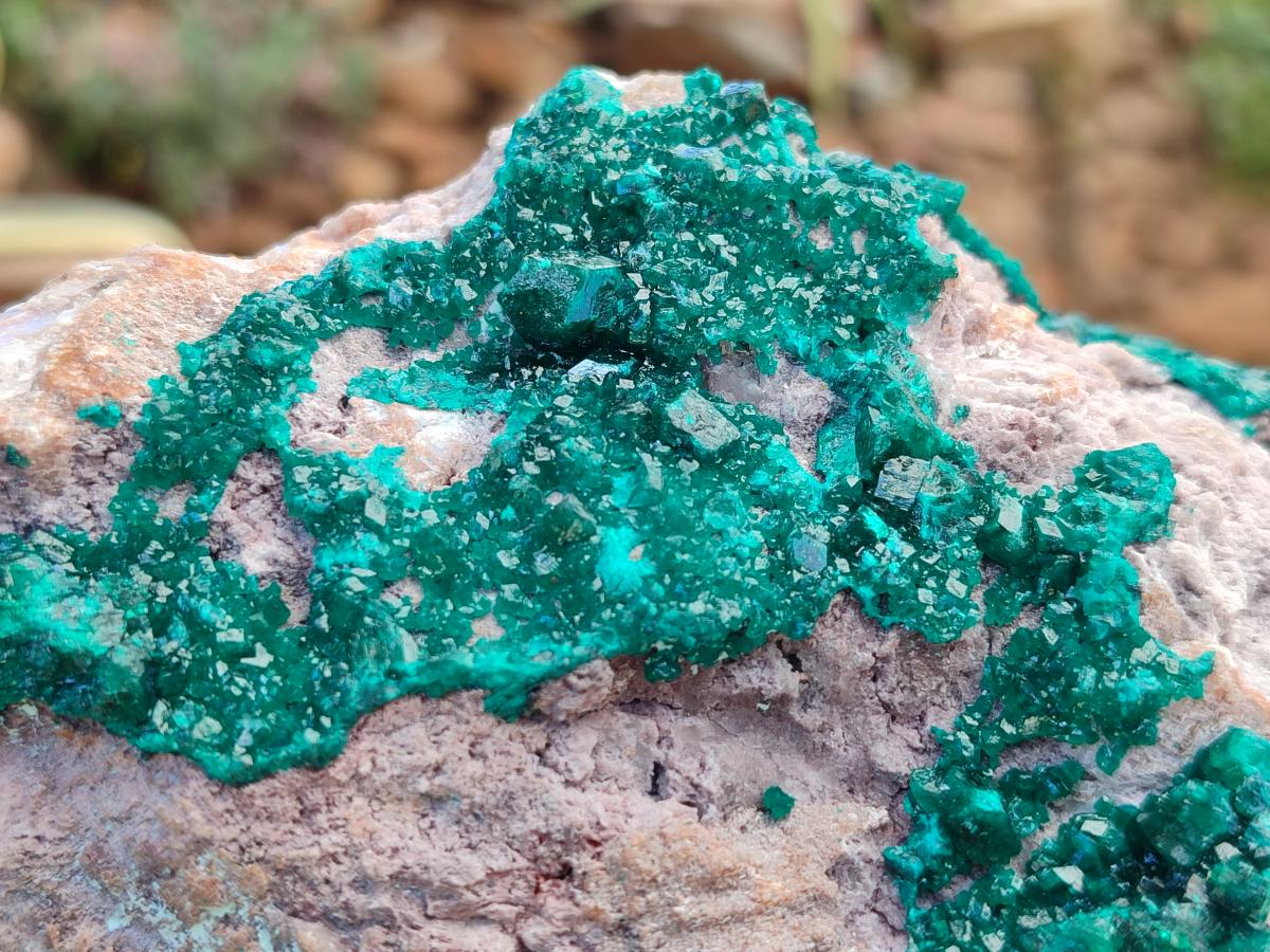 Natural XL Dioptase On Dolomite Specimen x 1 From Likasi, Congo
