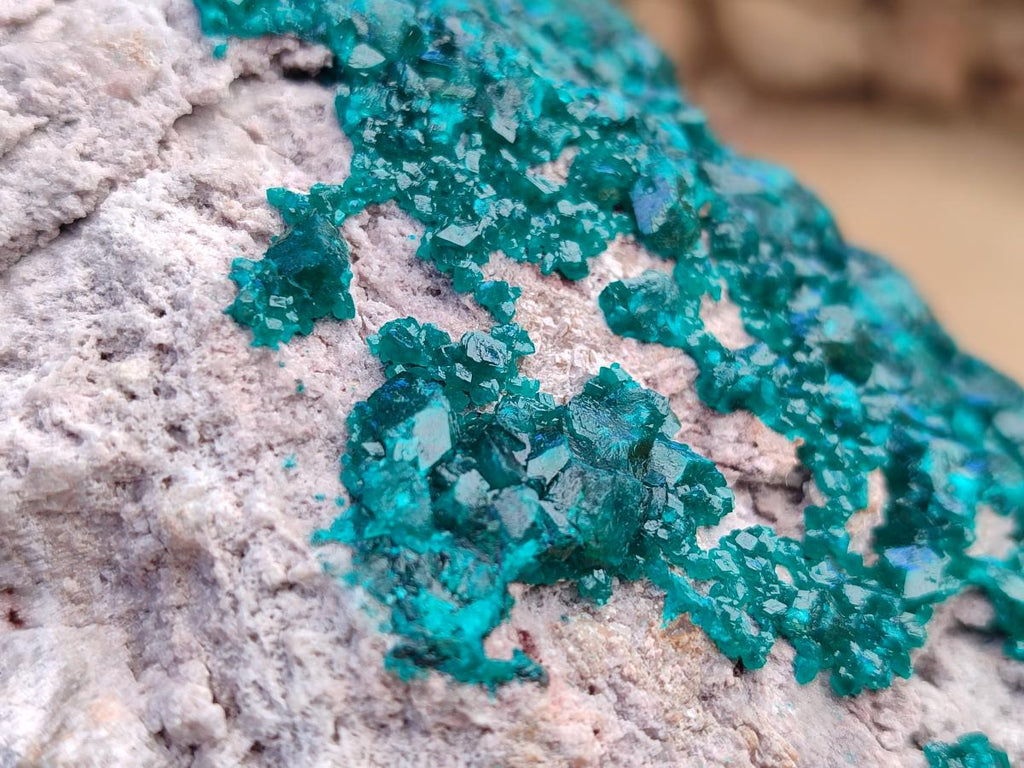 Natural XL Dioptase On Dolomite Specimen x 1 From Likasi, Congo