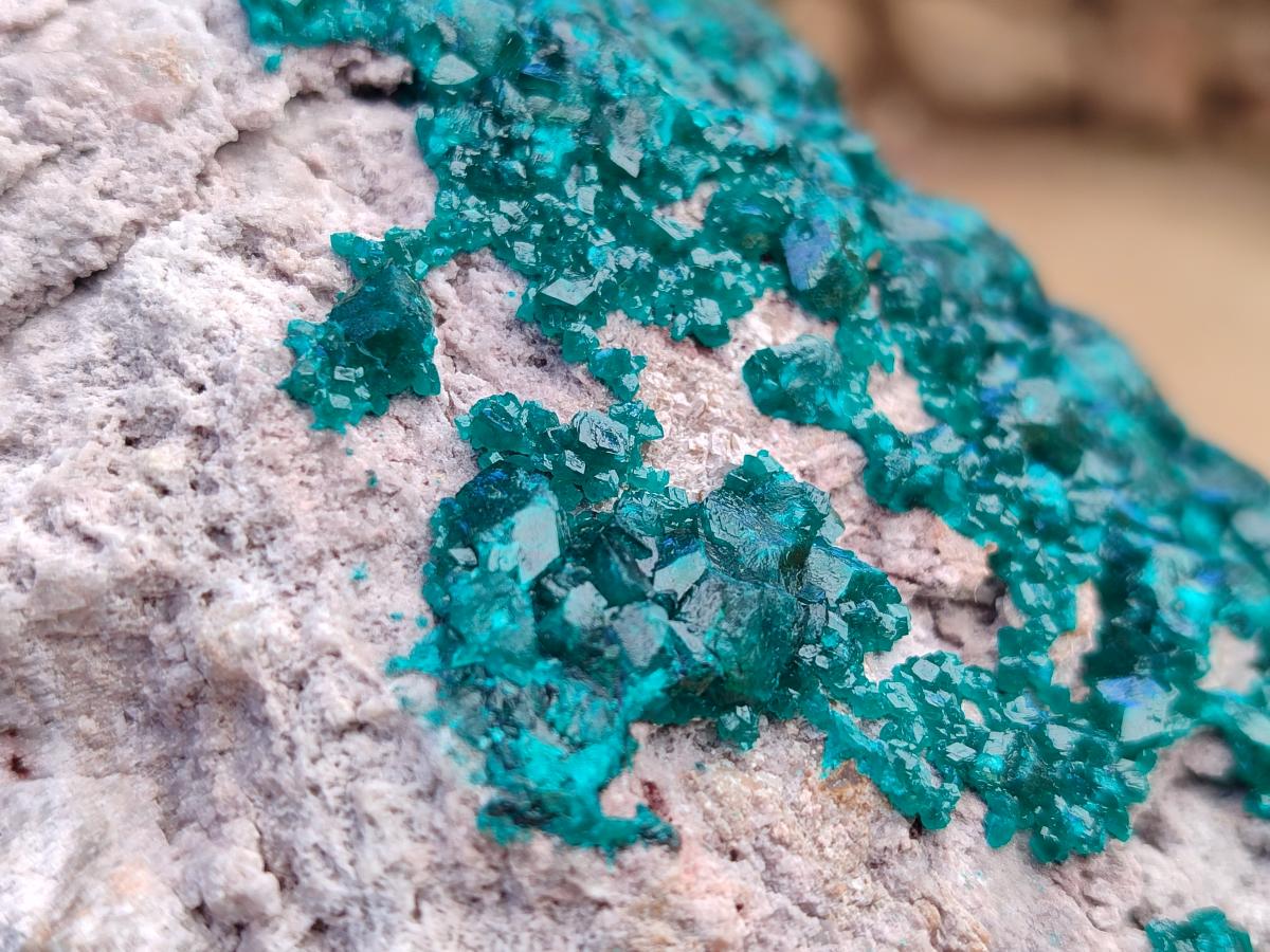 Natural XL Dioptase On Dolomite Specimen x 1 From Likasi, Congo