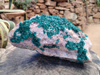 Natural XL Dioptase On Dolomite Specimen x 1 From Likasi, Congo