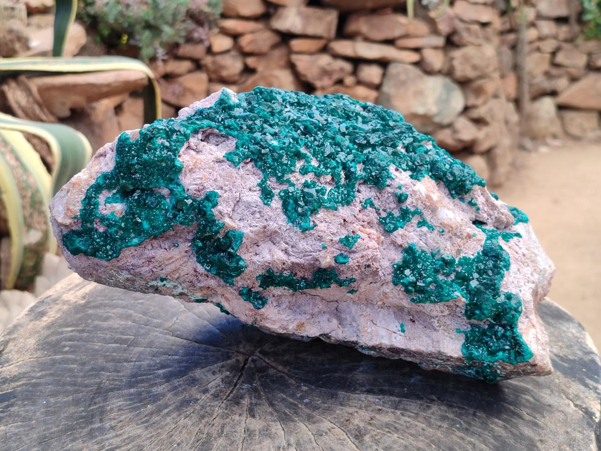 Natural XL Dioptase On Dolomite Specimen x 1 From Likasi, Congo