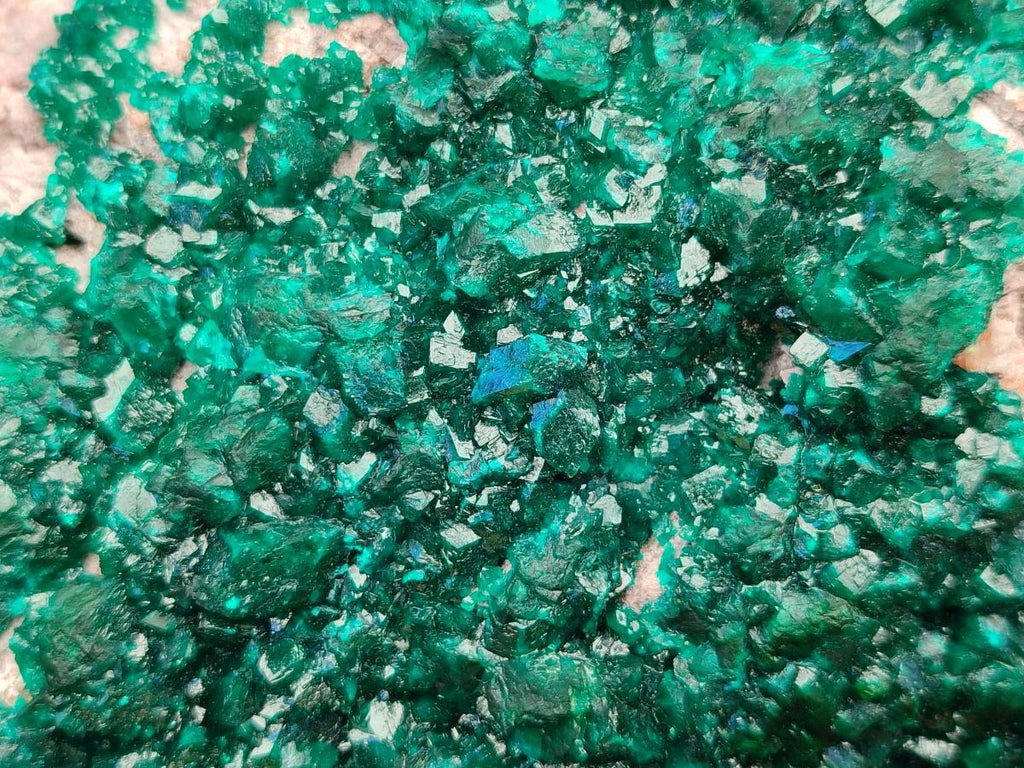 Natural XL Dioptase On Dolomite Specimen x 1 From Likasi, Congo