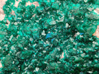 Natural XL Dioptase On Dolomite Specimen x 1 From Likasi, Congo