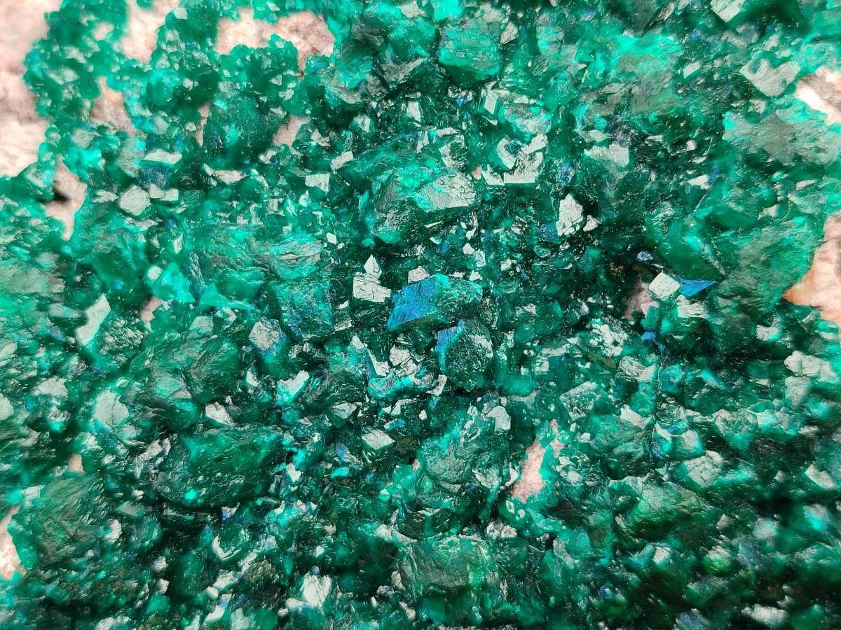 Natural XL Dioptase On Dolomite Specimen x 1 From Likasi, Congo