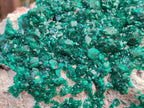 Natural XL Dioptase On Dolomite Specimen x 1 From Likasi, Congo