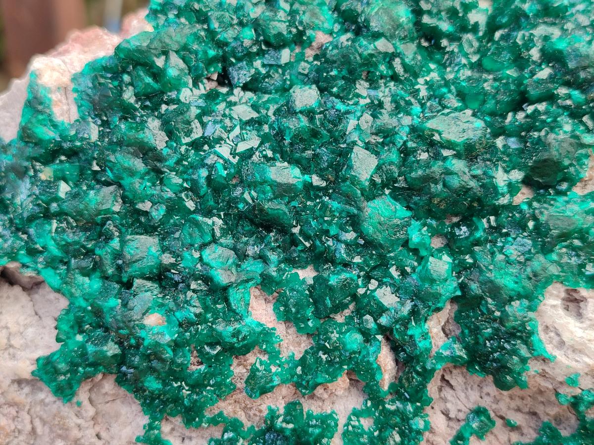 Natural XL Dioptase On Dolomite Specimen x 1 From Likasi, Congo