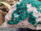 Natural XL Dioptase On Dolomite Specimen x 1 From Likasi, Congo