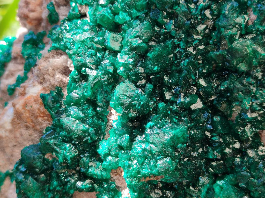 Natural XL Dioptase On Dolomite Specimen x 1 From Likasi, Congo