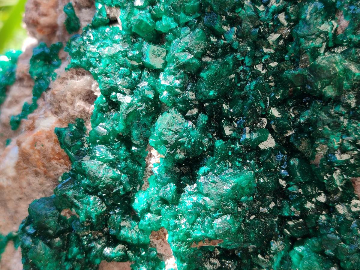Natural XL Dioptase On Dolomite Specimen x 1 From Likasi, Congo