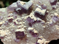 Natural Purple Cubic Fluorite On White Matrix Specimens x 12 From Khorixas, Namibia
