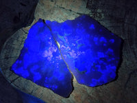 Natural Purple Cubic Fluorite On White Matrix Specimens x 12 From Khorixas, Namibia