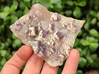 Natural Purple Cubic Fluorite On White Matrix Specimens x 12 From Khorixas, Namibia