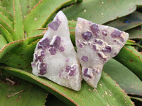 Natural Purple Cubic Fluorite On White Matrix Specimens x 12 From Khorixas, Namibia