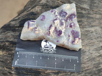 Natural Purple Cubic Fluorite On White Matrix Specimens x 12 From Khorixas, Namibia