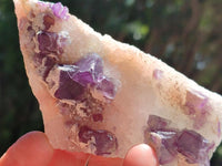 Natural Purple Cubic Fluorite On White Matrix Specimens x 12 From Khorixas, Namibia