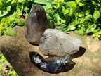 Natural Smokey Quartz Crystals x 5 From Mulanje, Malawi