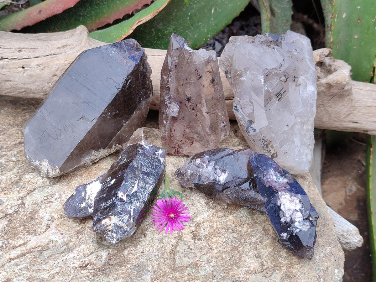 Natural Smokey Quartz Crystals x 5 From Mulanje, Malawi