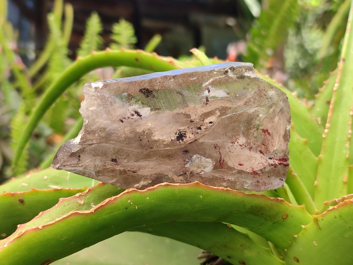 Natural Smokey Quartz Crystals x 5 From Mulanje, Malawi