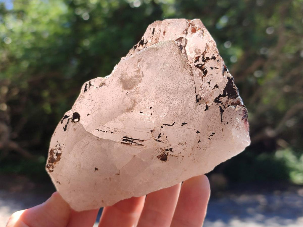 Natural Smokey Quartz Crystals x 5 From Mulanje, Malawi