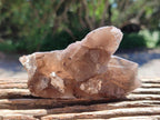 Natural Smokey Quartz Crystals x 5 From Mulanje, Malawi