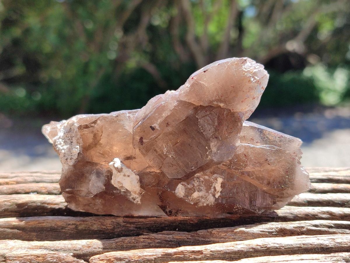 Natural Smokey Quartz Crystals x 5 From Mulanje, Malawi
