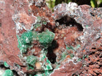 Natural XL Drusy Quartz Coated Ball Malachite On Dolomite Specimen x 1 From Mindingi Mine, Kambove, Congo