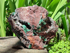 Natural XL Drusy Quartz Coated Ball Malachite On Dolomite Specimen x 1 From Mindingi Mine, Kambove, Congo